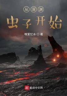 我的忍者生涯