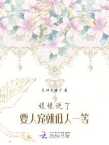 天风战纪