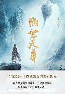 网游之狂啸人生