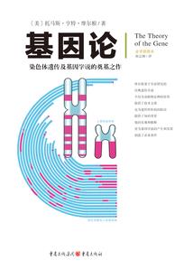 踏石阶
