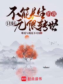 公主的贴身高手
