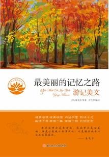 永不遗失的美好