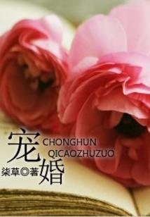 智取大寨主