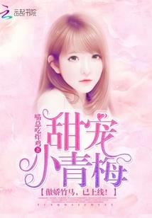 不平凡之恋